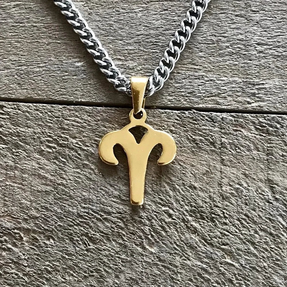 🆕 Aries Zodiac Sign Pendant Necklace Stainless Steel